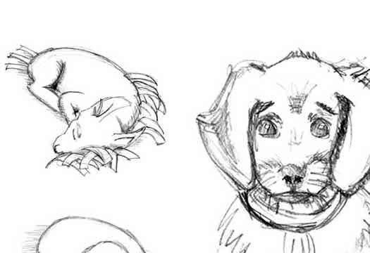 Observational Sketches